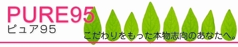 480PJヘッダー